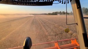 уборочная  2022 г. уборка гороха и ячменя. claas tucano 580.