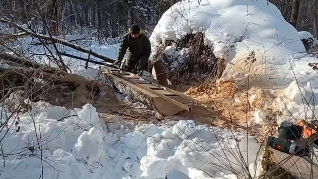 Stihl MS 881   Ещë один ясень на широкие доски. Слэбы