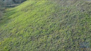 Весна просыпается.