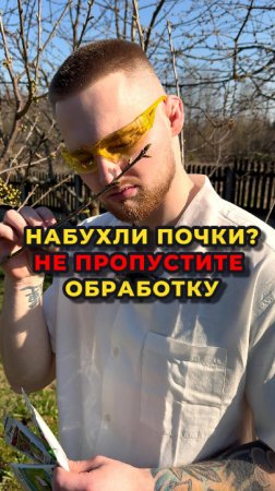 🌳Почки набухли и начинают раскрываться? Значит пора провести обработку сада!🌳