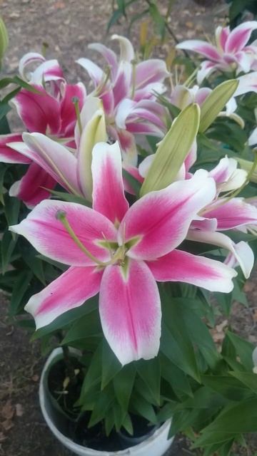 22 июля 2021 г. смотреть онлайн