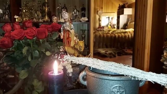 ЧИСТКА "ГОРЕЧЬ ПОЛЫНИ"