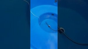 Купель с печкой для дачи | Отзыв покупателя о Японской бани Фурако "Альтвуд"
