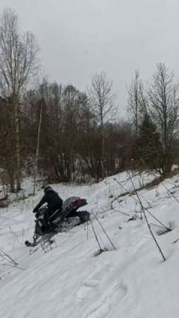 Зайдет или Нет в ГОРУ? ЧТО Может Гусянка от BRP?