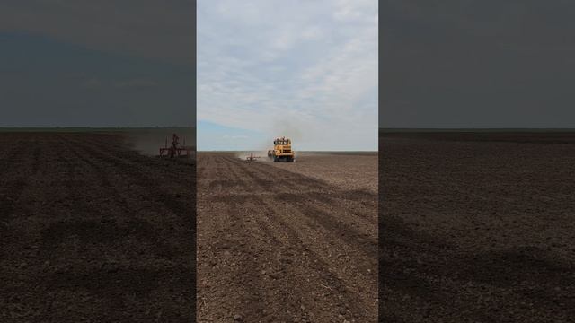 К701 трактор Кировец К700А К744 К424 К425 ПТЗ культивация паров смотреть онлайн