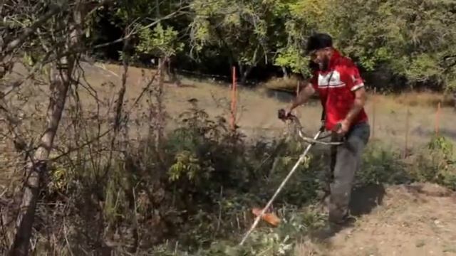 В Ножай-Юртовском районе прошел очередной субботник в селе Бильты смотреть онлайн