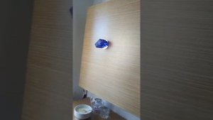 наш номер. в. отеле Drita Spa Resort 5*. Турция,Алания.