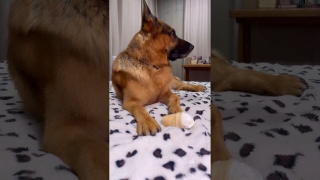 Просто мой умничка 