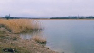 Ольгинский ставок, село Осипенко