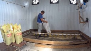 Подготавливаю место  Дети купили игрушки