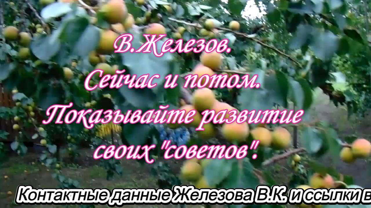 В.Железов. Сейчас и потом. Показывайте развитие своих "советов".
