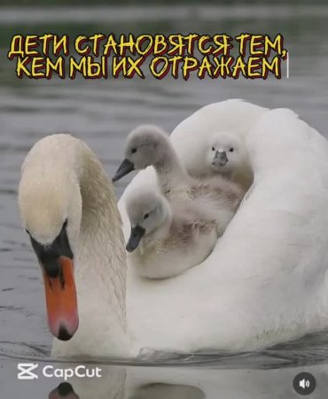 Дети становятся такими, кем мы их отражаем - Все в наших руках