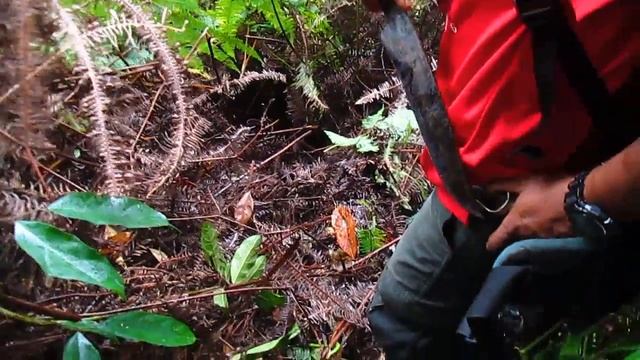 Magical door at Camp Cobra  Jelawang Jungle  Dabong  Kelantan.