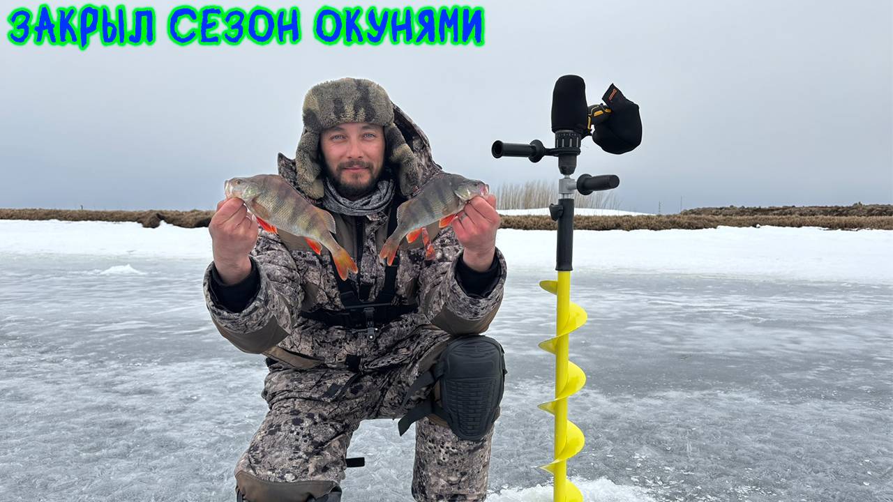Закрыл зимний сезон окунями #рыбалка #зимняяловлярыбы #окунь #щука