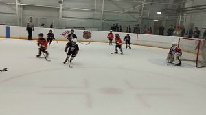гепард марьино 17