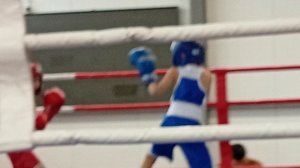 29 марта , бокс . Нижнеудинск 2025.