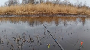 Рыбалка на крупного окуня, бухта Ермилово, речка Ермиловка