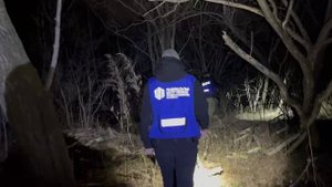 История одного поиска.