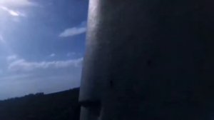 дискуем на Т-150к с подшипникмаш, валим семечку ходим по следу,дискатор бдм 3×4🌾