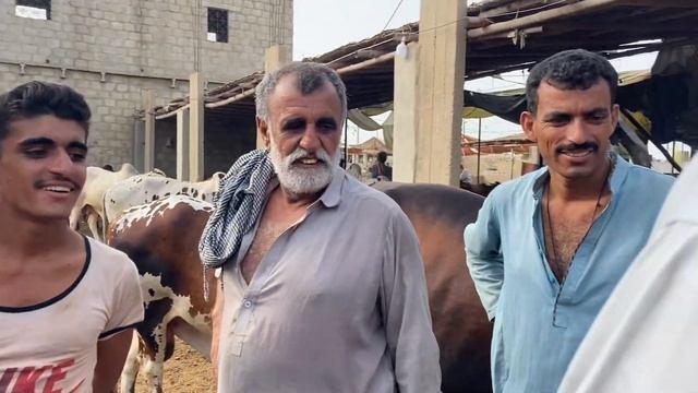 alhamdulillah apna janwar lelia behtreen soda ban gaya😍🐂 смотреть онлайн