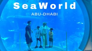 #Абу-Даби SeaWorld океанариум