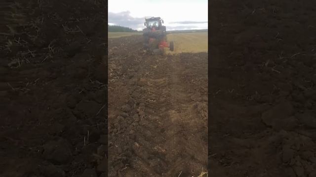 Ведётся вспашка поля с Трактором Вальтра и плуг оборотный 5 корпусной. смотреть онлайн