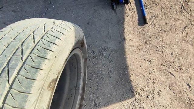 Весенние приключения