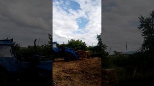 магнус кун 800 обзор