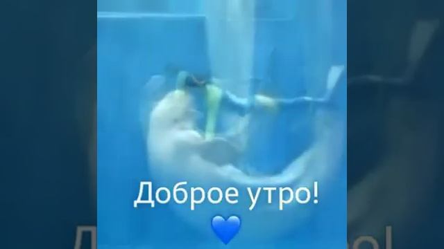 Всем хорошего настроения смотреть онлайн