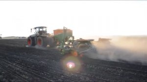 Сеялка пропашная AMAZONE EDX 9000 TC в работе