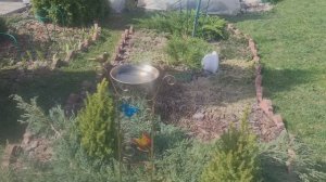 ДАЧА!🏡 ПОГОДА КАК НА ЮГЕ +25 ЛЕНИНГРАДСКАЯ ОБЛАСТЬ 19.04.25г.🌞