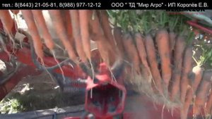 Морковоуборочный комбайн Алина