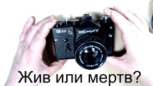 Зенит 12сд. Расчехлил дедушку.