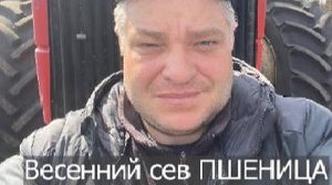 Пшеница. Весенний сев 2025