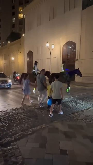 В Дубае даже лошадь знает, что переходить дорогу нужно по пешеходному переходу🏇 #Дубай смотреть онлайн