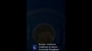 Лайфхак. Как сделать кормушку для птиц из пластиковой бочки