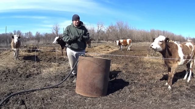 Деревенские будни