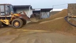 Работа фронтального погрузчика Амкодор