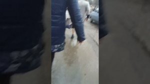 влог неделя