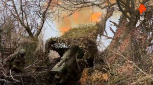 Пушка М-46 уничтожила замаскированный опорный пункт ВСУ под Красноармейском