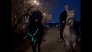 Подарочные сертификаты на конные прогулки