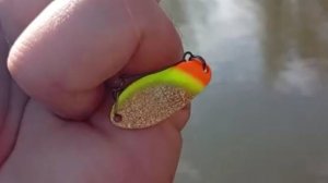 Приоритета в приманках нет. Главное-попасть в горизонт. Спорт-зона. Клёвое место Лосиный остров.