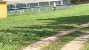 Крапчатый суслик в «Заповеднике Воронинский». До чего прелестные существа 😍🥰