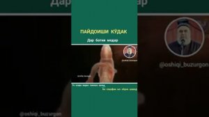 Пайдоиши  Кудак дар батни Модар