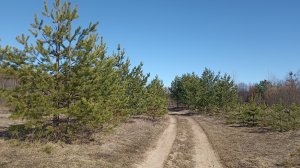 Апрель пришёл на Вятку. Инструментальная, красивая, нежная музыка.
