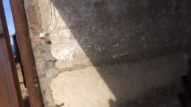 Вывозим зерно. Строим планы.