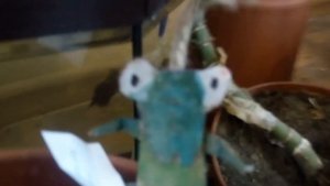 Битва за огород Сверчка