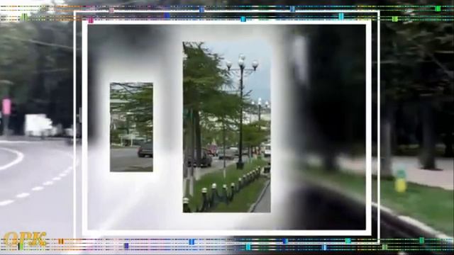 ТОПОЛИНАЯ ПУРГА