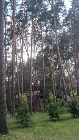 В парке-отеле "Премьера" (Тульская область)