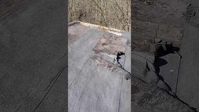 С крыши гаража на заброшке виден огромный СпецОБЪЕКТ -  разрушенный цех в лесу